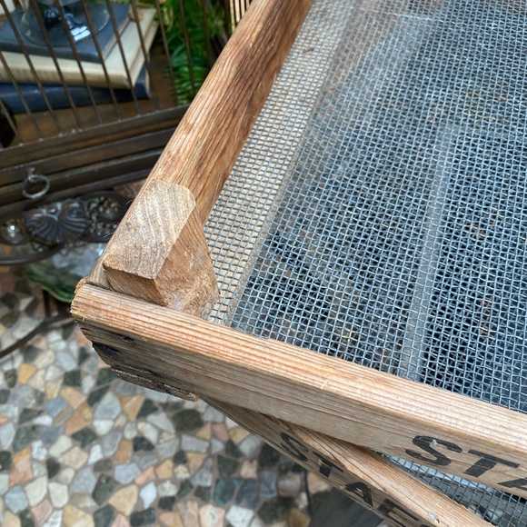 NWT Pottery Barn Vintage Bulb Trays - Picture 3 of 7